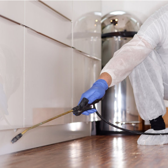 All Types Of Pest Control Services