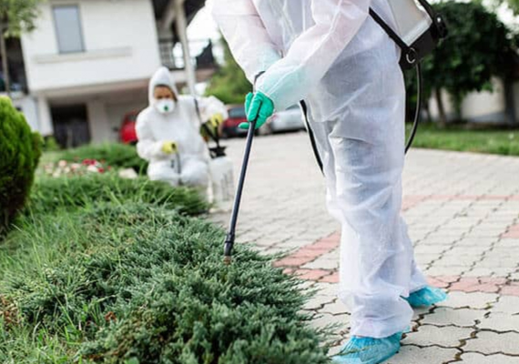 residential pest control coomera